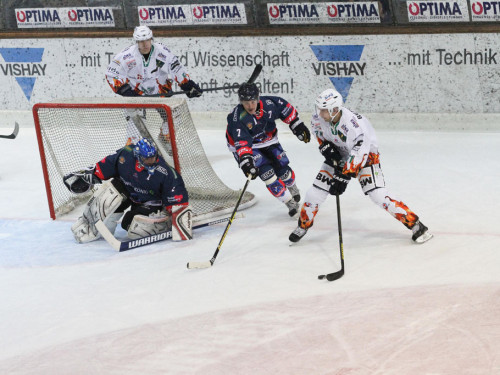 Selber Wölfe - Bietigheim Steelers – Foto 46