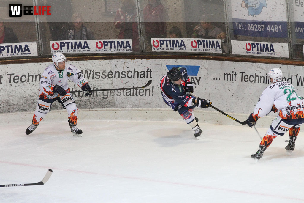 Selber Wölfe - Bietigheim Steelers