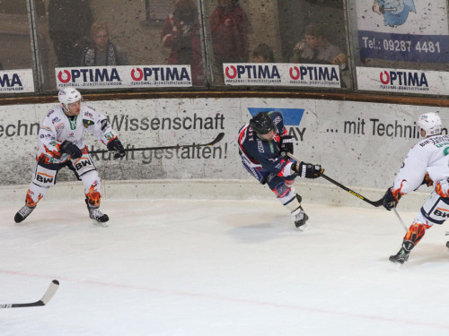 Selber Wölfe - Bietigheim Steelers – Foto 48