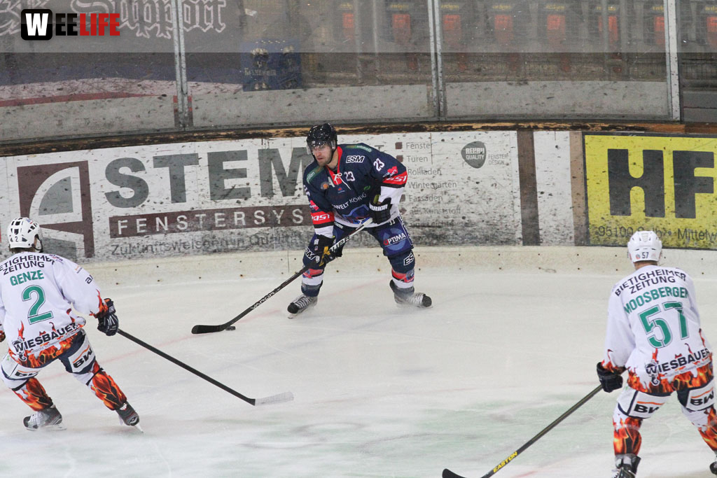 Selber Wölfe - Bietigheim Steelers
