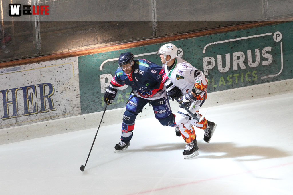 Selber Wölfe - Bietigheim Steelers