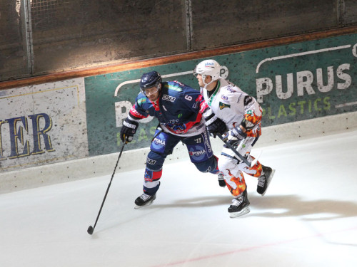 Selber Wölfe - Bietigheim Steelers – Foto 50