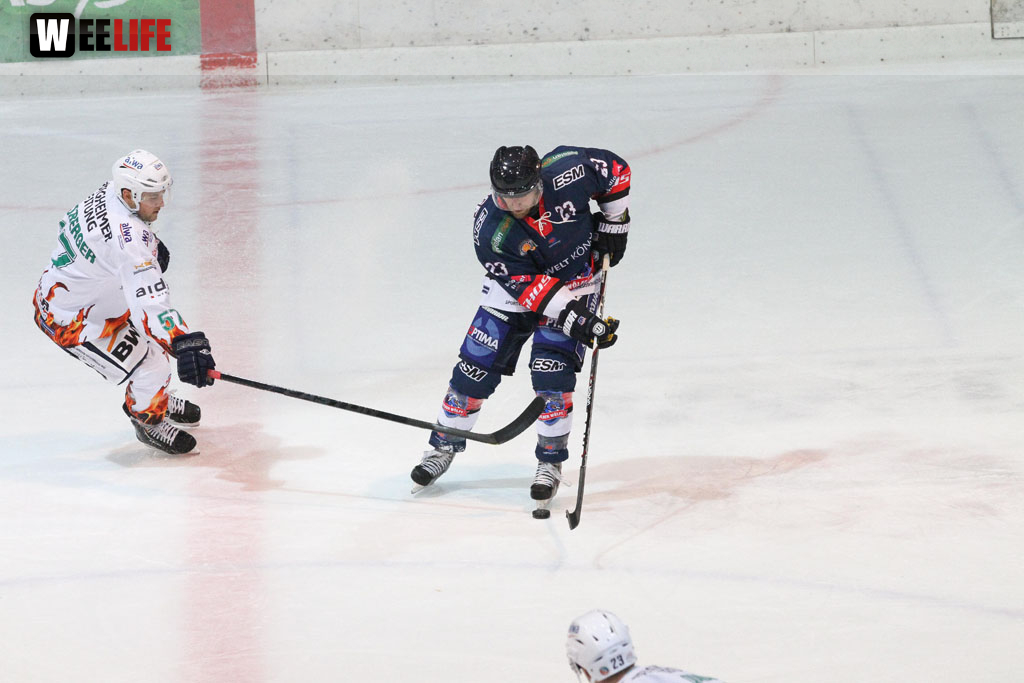 Selber Wölfe - Bietigheim Steelers