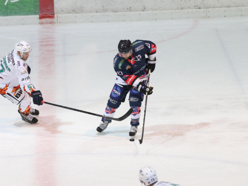 Selber Wölfe - Bietigheim Steelers – Foto 52