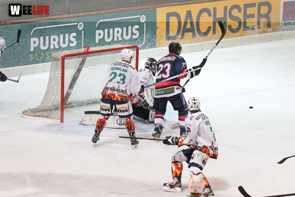 Selber Wölfe - Bietigheim Steelers