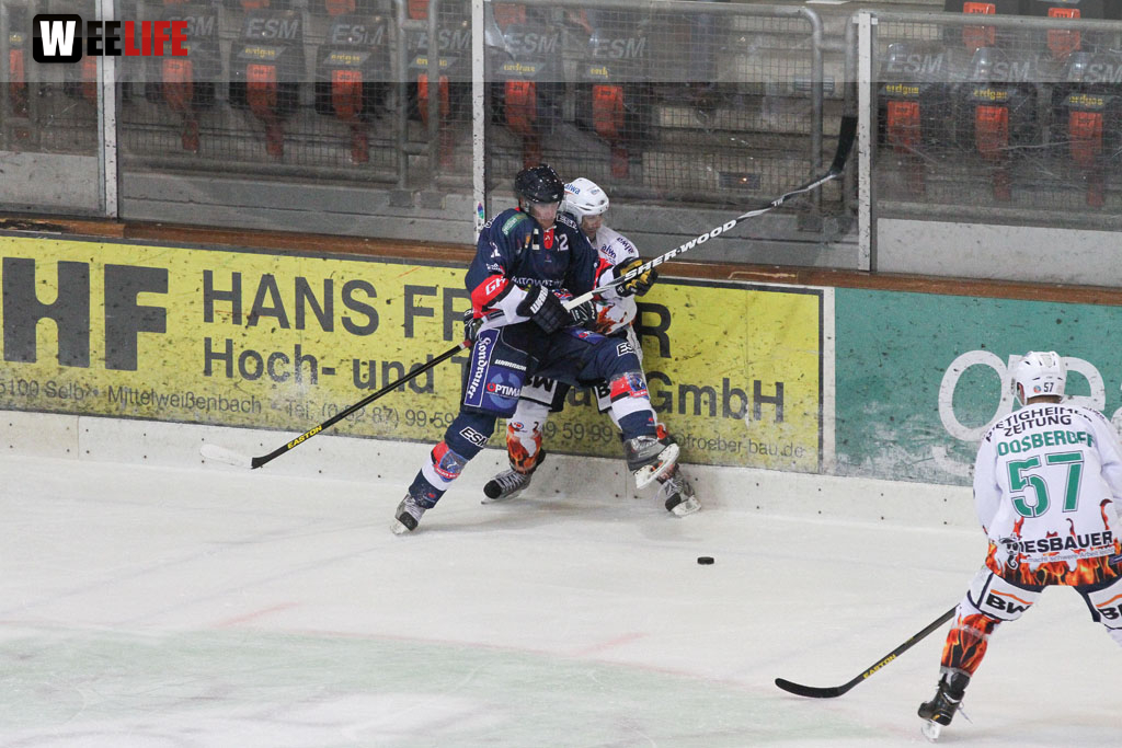 Selber Wölfe - Bietigheim Steelers