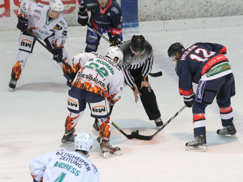 Selber Wölfe - Bietigheim Steelers – Foto 56