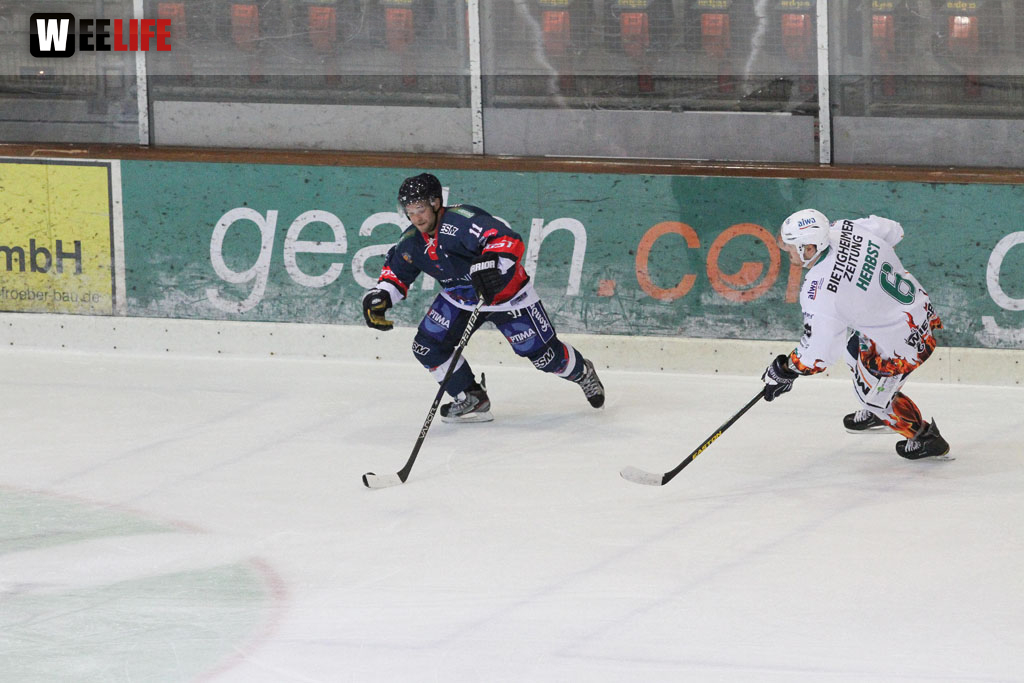 Selber Wölfe - Bietigheim Steelers