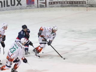 Foto 37166 im Album