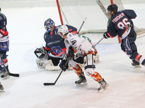 Selber Wölfe - Bietigheim Steelers – Foto 63