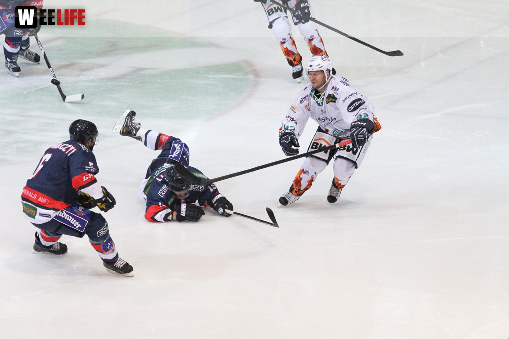 Selber Wölfe - Bietigheim Steelers
