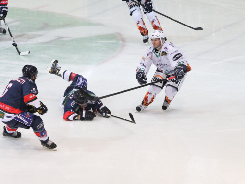 Selber Wölfe - Bietigheim Steelers – Foto 65