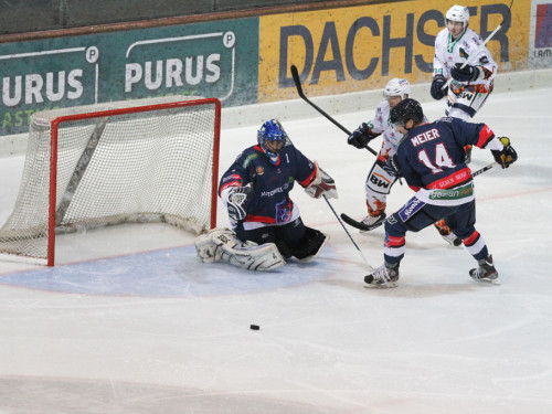 Selber Wölfe - Bietigheim Steelers – Foto 66