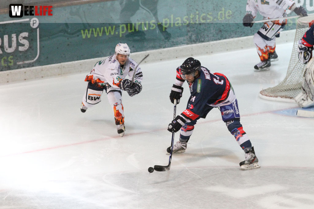 Selber Wölfe - Bietigheim Steelers