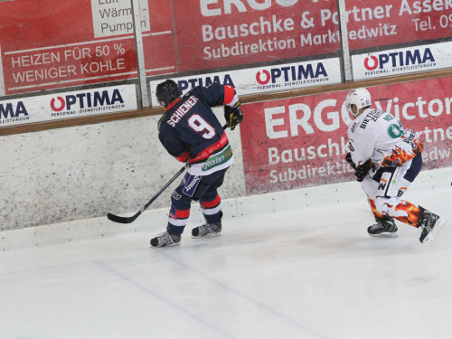 Selber Wölfe - Bietigheim Steelers – Foto 68