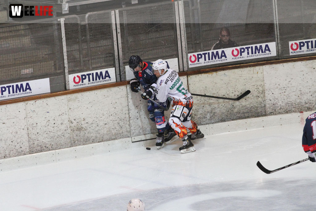 Selber Wölfe - Bietigheim Steelers