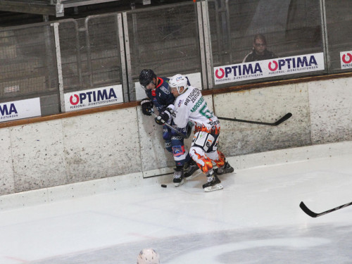 Selber Wölfe - Bietigheim Steelers – Foto 69