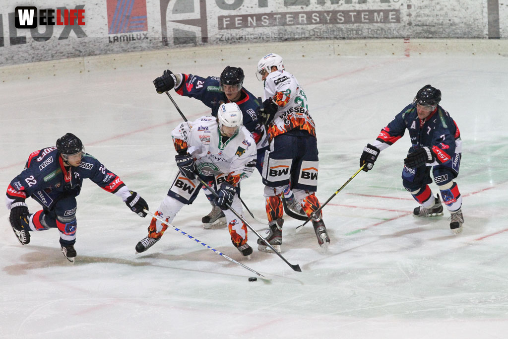 Selber Wölfe - Bietigheim Steelers