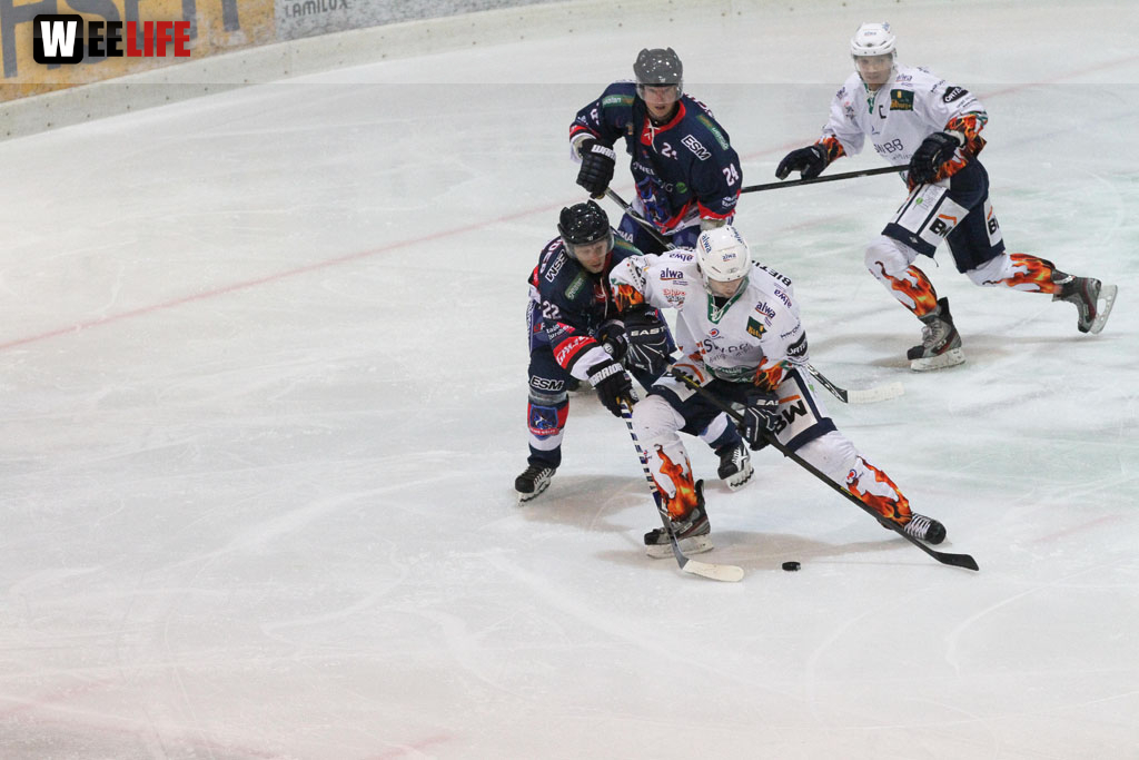 Selber Wölfe - Bietigheim Steelers