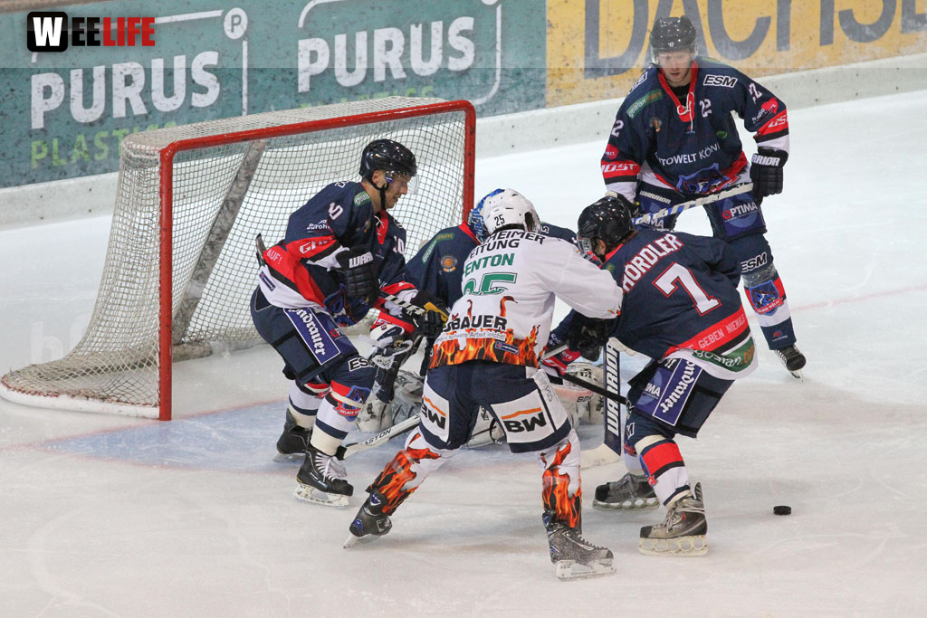 Selber Wölfe - Bietigheim Steelers