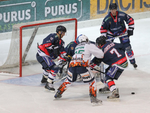 Selber Wölfe - Bietigheim Steelers – Foto 74