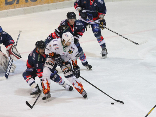 Selber Wölfe - Bietigheim Steelers – Foto 75