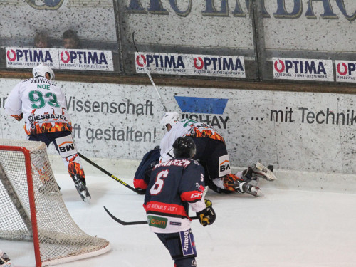 Selber Wölfe - Bietigheim Steelers – Foto 76