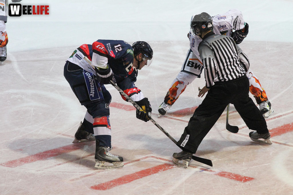 Selber Wölfe - Bietigheim Steelers