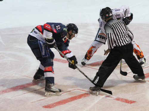 Selber Wölfe - Bietigheim Steelers – Foto 79