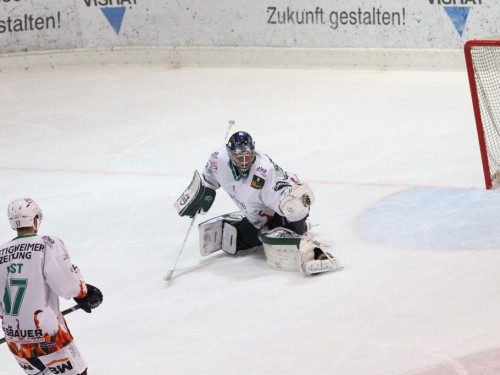 Selber Wölfe - Bietigheim Steelers – Foto 81