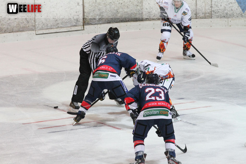 Selber Wölfe - Bietigheim Steelers