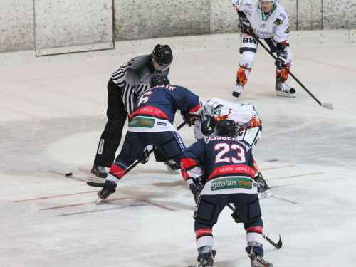 Selber Wölfe - Bietigheim Steelers – Foto 85