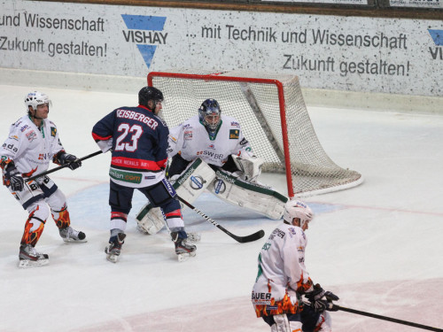 Selber Wölfe - Bietigheim Steelers – Foto 88
