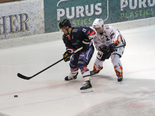Selber Wölfe - Bietigheim Steelers – Foto 89