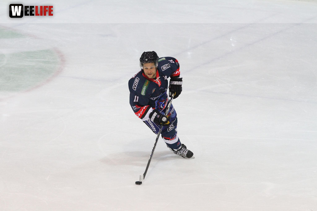 Selber Wölfe - Bietigheim Steelers