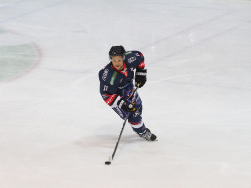 Selber Wölfe - Bietigheim Steelers – Foto 90