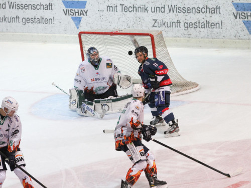 Selber Wölfe - Bietigheim Steelers – Foto 91