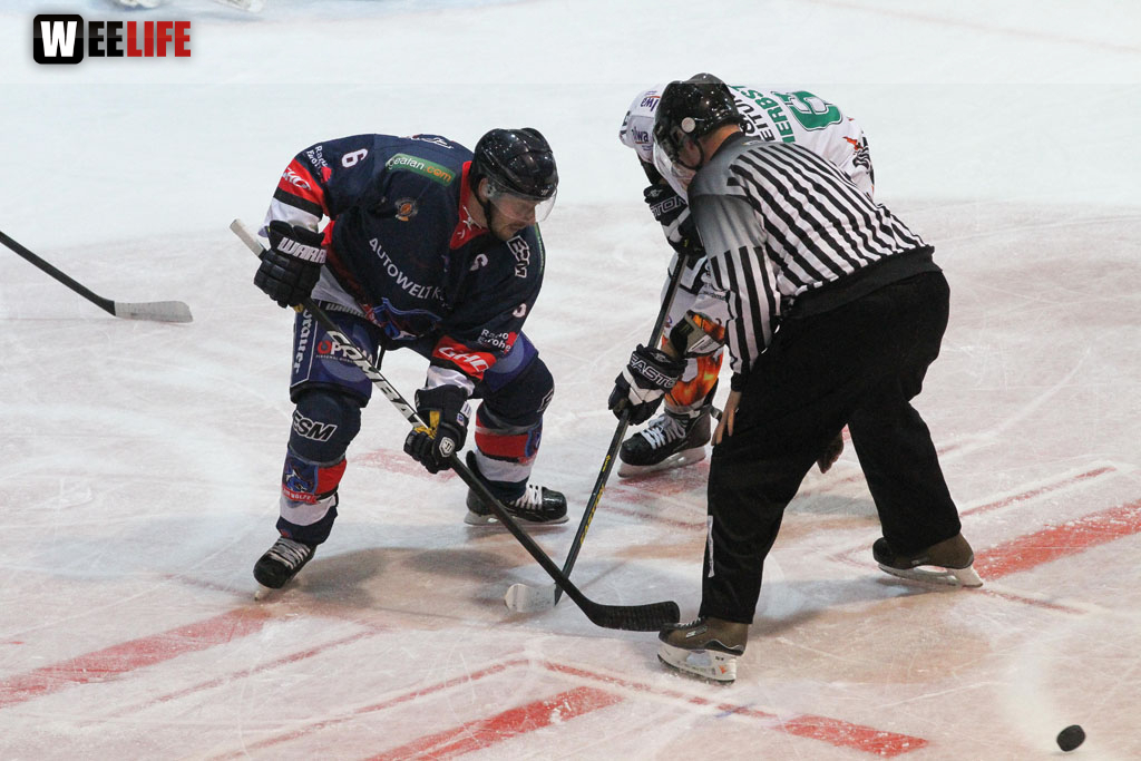 Selber Wölfe - Bietigheim Steelers
