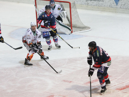 Selber Wölfe - Bietigheim Steelers – Foto 94