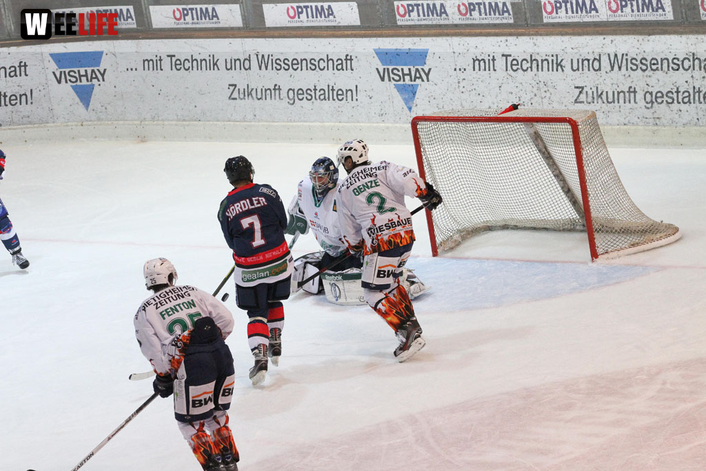 Selber Wölfe - Bietigheim Steelers