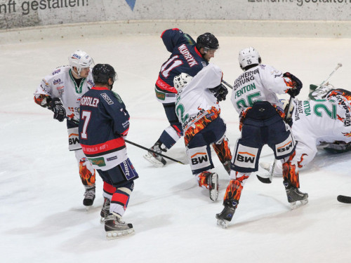 Selber Wölfe - Bietigheim Steelers – Foto 97