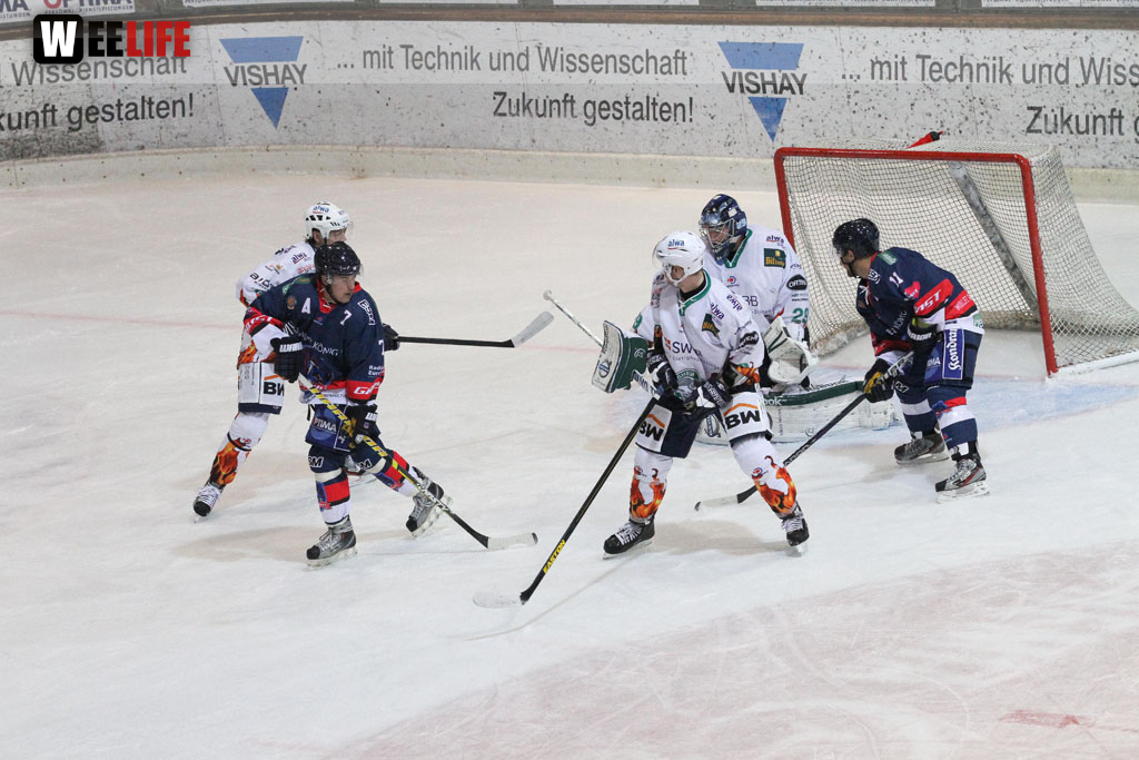 Selber Wölfe - Bietigheim Steelers