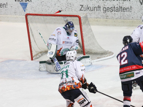 Selber Wölfe - Bietigheim Steelers – Foto 99