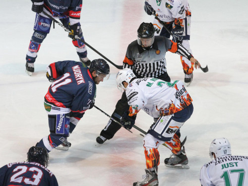Selber Wölfe - Bietigheim Steelers – Foto 100