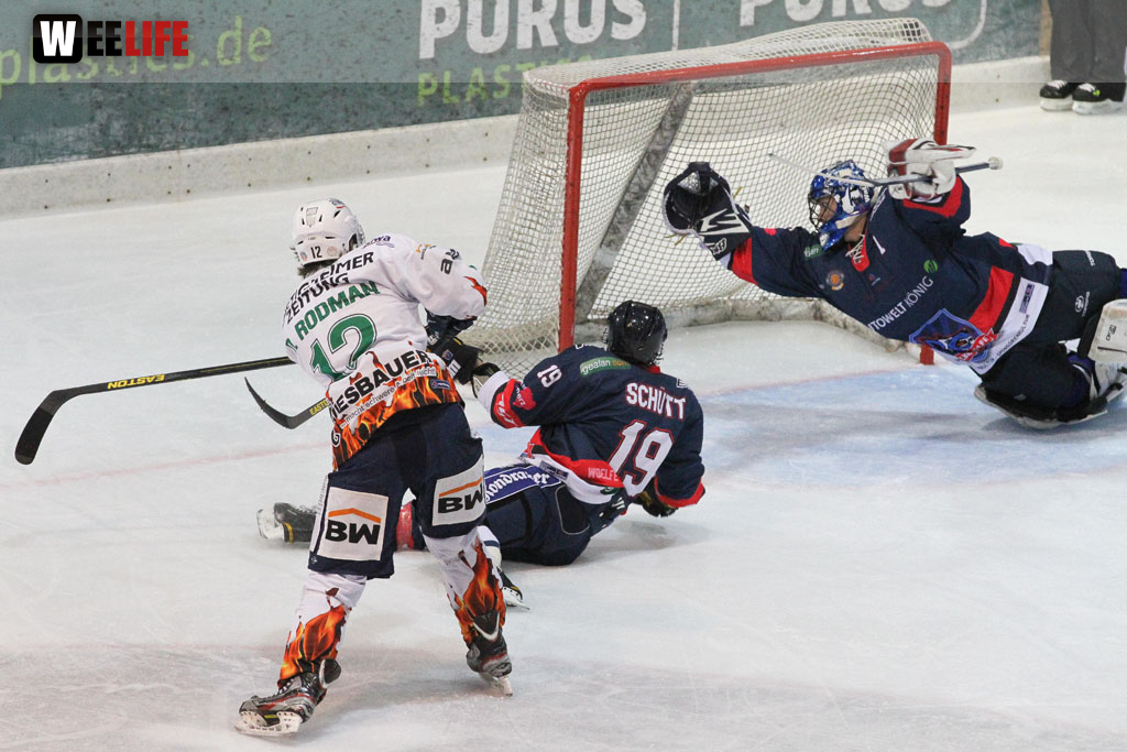 Selber Wölfe - Bietigheim Steelers
