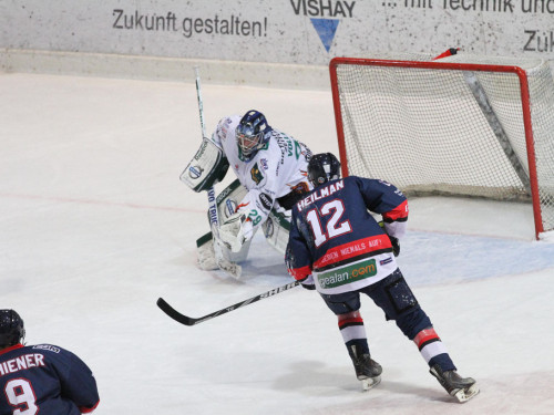 Selber Wölfe - Bietigheim Steelers – Foto 103