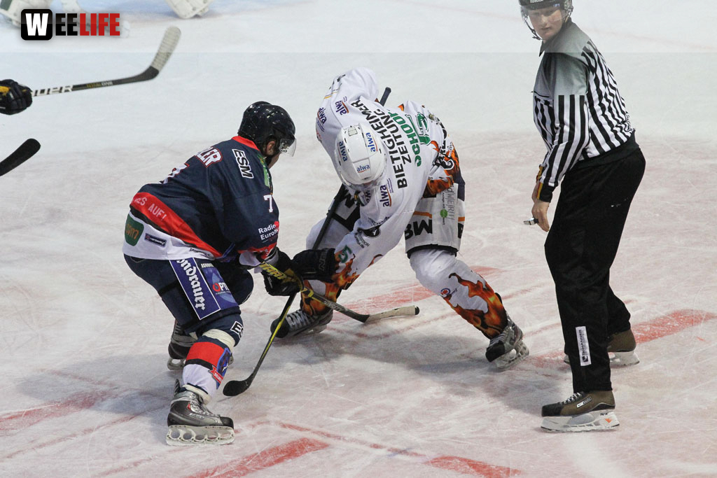 Selber Wölfe - Bietigheim Steelers