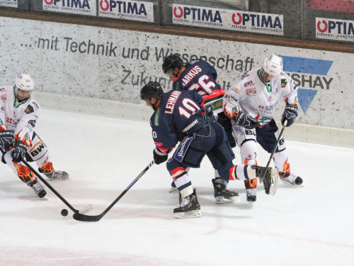 Selber Wölfe - Bietigheim Steelers – Foto 105