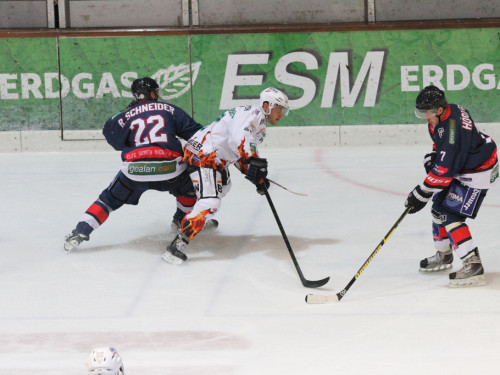 Selber Wölfe - Bietigheim Steelers – Foto 106