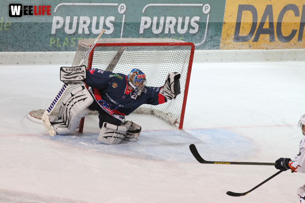 Selber Wölfe - Bietigheim Steelers